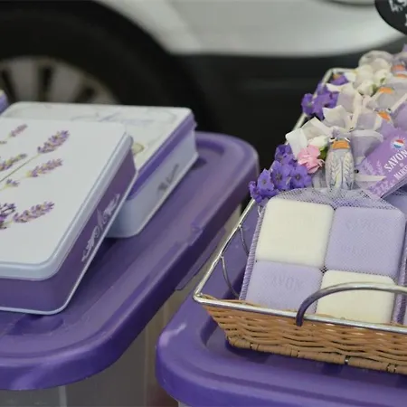 Appartement En Rez-de-jardin, Pieds Dans L'eau, Terrasse, Parking, 4 Couchages - - Fr-1-251-454 *