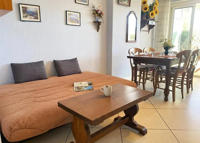 Lejlighed En Rez-de-jardin, Pieds Dans L'eau, Terrasse, Parking, 4 Couchages - - Fr-1-251-454