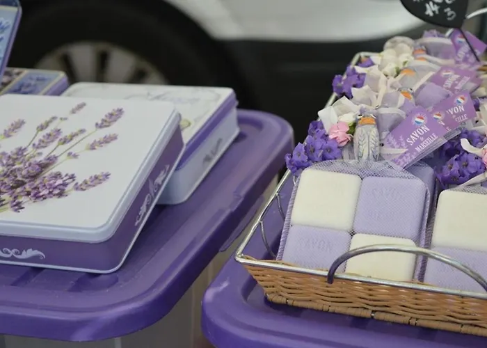 Apartman En Rez-de-jardin, Pieds Dans L'eau, Terrasse, Parking, 4 Couchages - - Fr-1-251-454 *